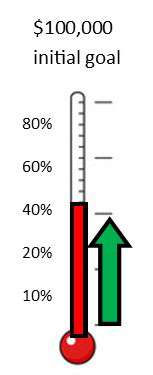 Thermometer of donations